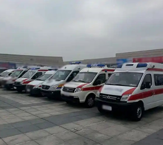 虎林市服务车队展示